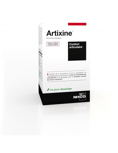 NHCO Nutrition Artixine® 168 Gélules