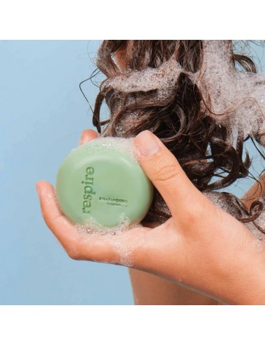 Repire Shampoing Solide Purifiant Cheveux gras 75g