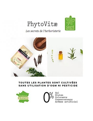 Phytovitae Ampoules Énergie Boost Ginseng et Guarana 20x10ml