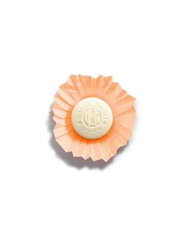 Roger & Gallet Savon Oeillet Mignardise Bienfaisant 100g