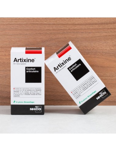 NHCO Nutrition Artixine® 168 Gélules