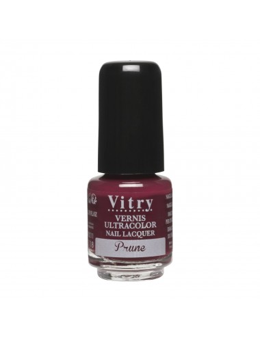Vitry Vernis à Ongles Mini Prune 4ml