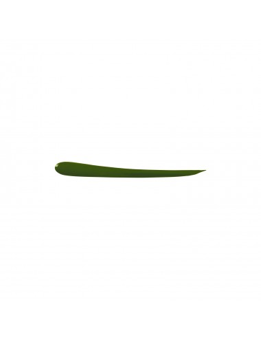 Eye Care Cosmetics Eyeliner liquide vert 5g
