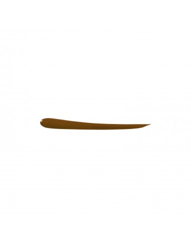 Eye Care Cosmetics Eyeliner liquide brun 5g