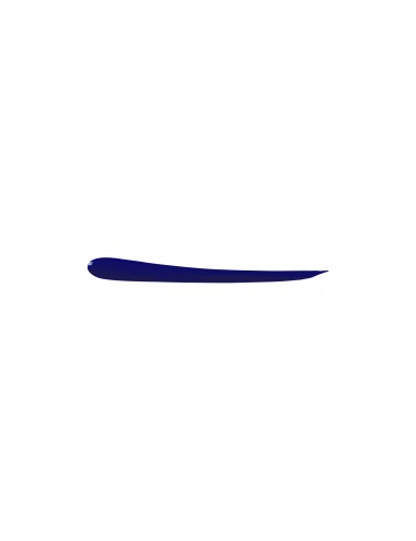 Eye Care Cosmetics Eyeliner liquide bleu 5g