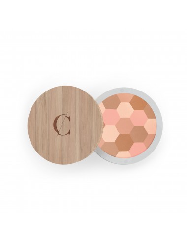Couleur Caramel Poudre Mosaïque N°232-Teint Clair