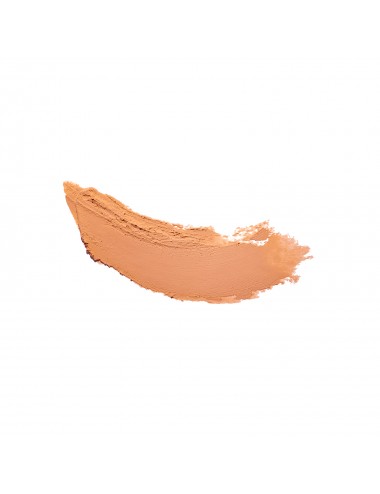 Couleur Caramel Fond De Teint Compact Haute Définition N°14- Beige Halé