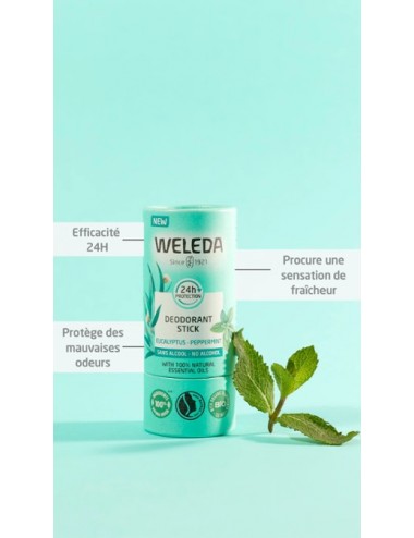 Weleda Déodorant solide 24H Eucalyptus Menthe poivrée Stick 50g