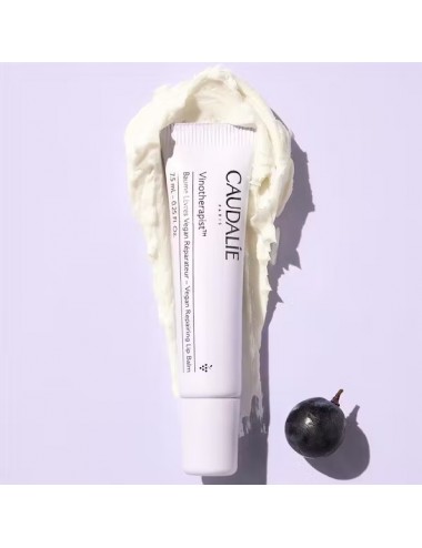 Caudalie Vinotherapist Baume à Lèvres Végan Réparateur 7,5ml