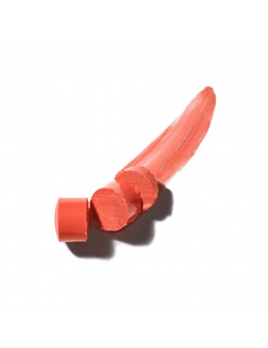 Vichy Naturalblend Soin des lèvres teinté Stick 4,5g - Corail