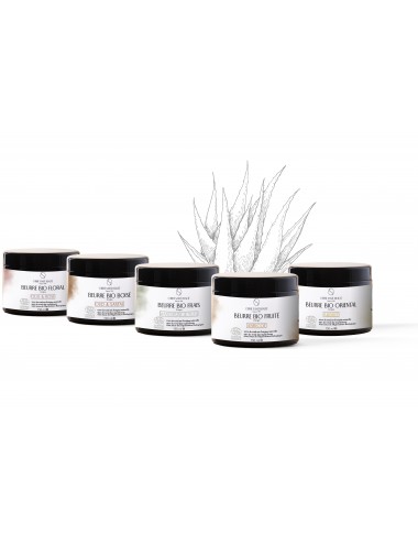 Beurre Bio Boisé Oud & Santal 150ml
