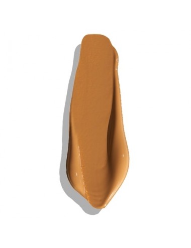 Erborian Super BB Crème Teinte Caramel Couvrante Anti-imperfections 15ml
