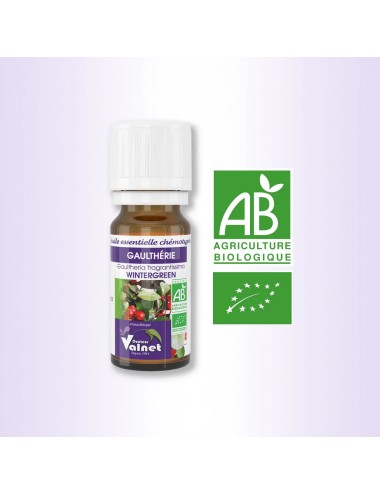 Docteur Valnet Huile Essentielle Bio Gaulthérie 10ml