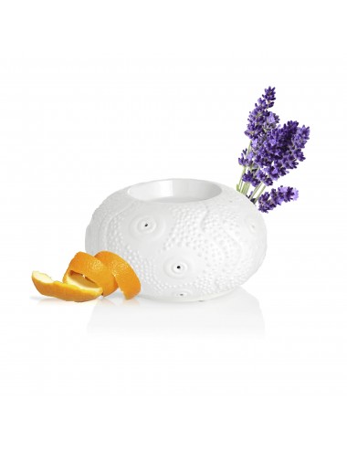 Puressentiel Diffuseur à Chaleur Douce Calvi Blanc