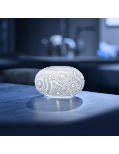 Puressentiel Diffuseur à Chaleur Douce Calvi Blanc