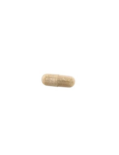 Ducray Anacaps Expert 90 Gellules Anti-Chute