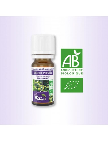 Docteur Valnet Huile Essentielle Bio Menthe Poivrée 10 ml