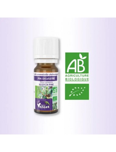 Docteur Valnet Huile Essentielle Bio Pin Sylvestre 10ml
