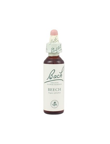 Fleurs de Bach beech n°3