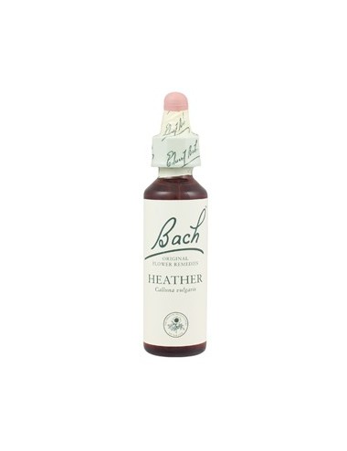 Fleurs de Bach heather n°14