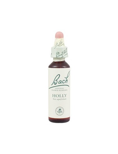 Fleurs de Bach holly n°15