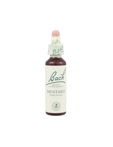 Fleurs de Bach mustard n°21