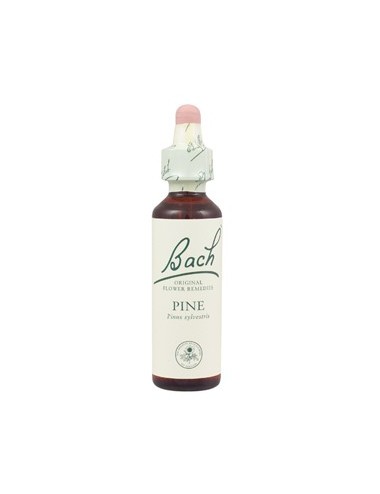 Fleurs de Bach pine n°24