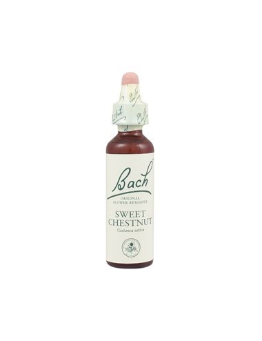 Fleurs de Bach sweet chesnut n°30