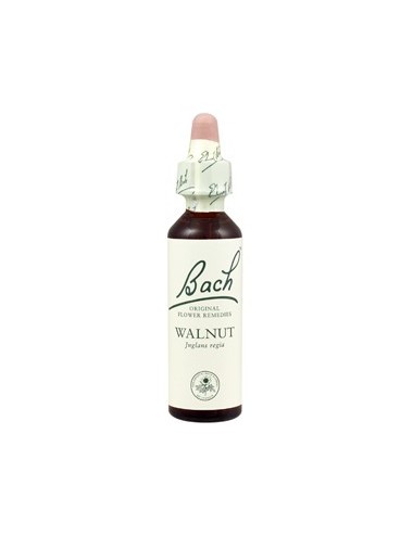 Fleurs de Bach walnut n°33