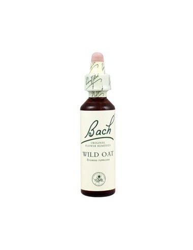 Fleurs de Bach wild oat n°36