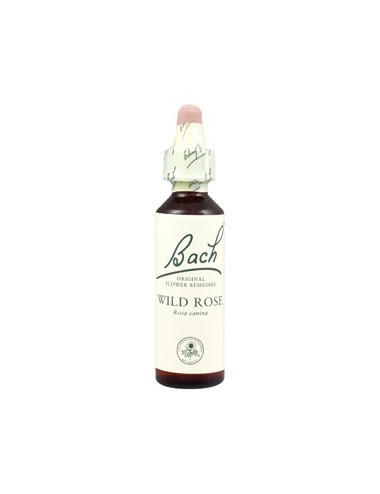 Fleurs de Bach wild rose n°37