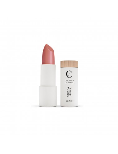 Couleur Caramel Rouge À Lèvres Satiné N°254- Rose Naturel