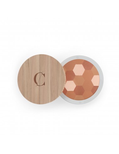 Couleur Caramel Poudre Mosaïque N°233-Teint Mat