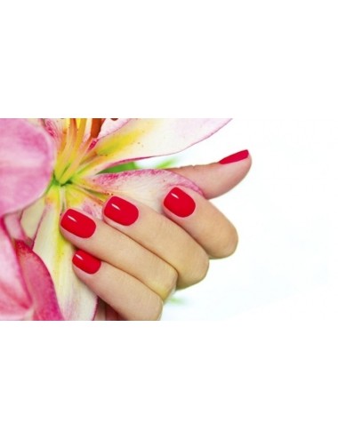 Pose de Gel Sur Ongle Naturel