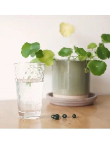 René Furterer VITALFAN Réactionnelle Cheveux Affaiblis Complément Alimentaire 30 Capsules