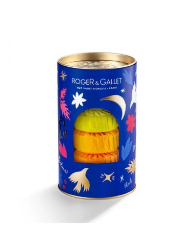 Coffret Noël Roger & Gallet Trio de Savons Bienfaisants 