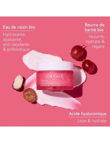 Caudalie Crème Intense Vinohydra (pot 50ml)