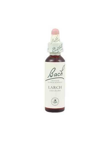 Fleurs de Bach larch n°19